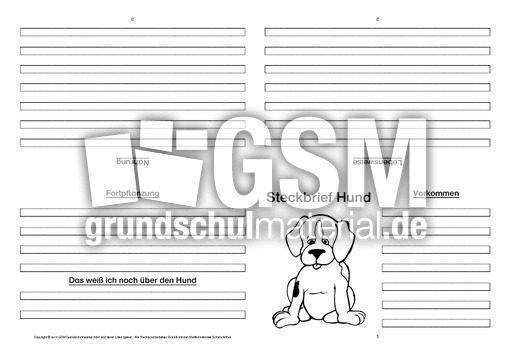 Hund-Faltbuch-vierseitig-1.pdf